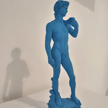 Dependace Il David Di Michelangelo Daire Floransa