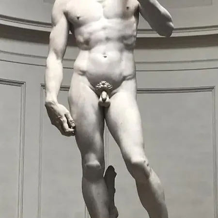 Daire Dependace Il David Di Michelangelo