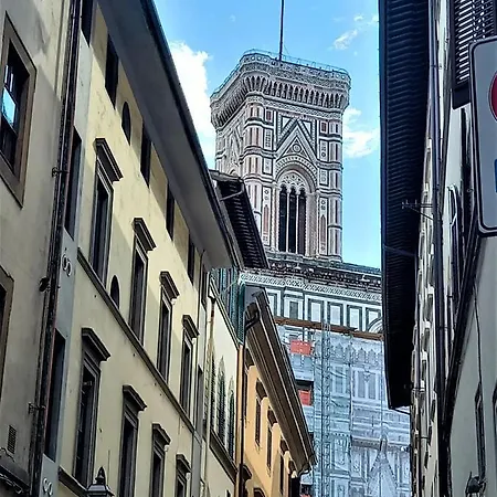 Dependace Il David Di Michelangelo