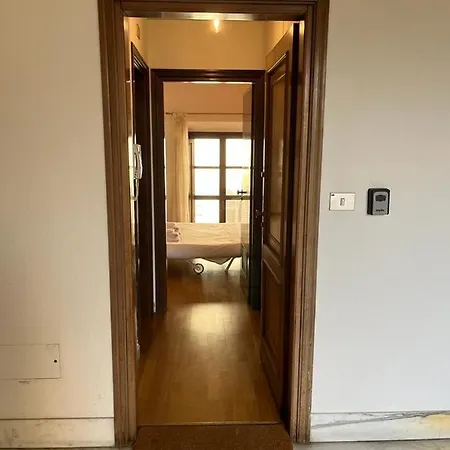 Dependace Il David Di Michelangelo *